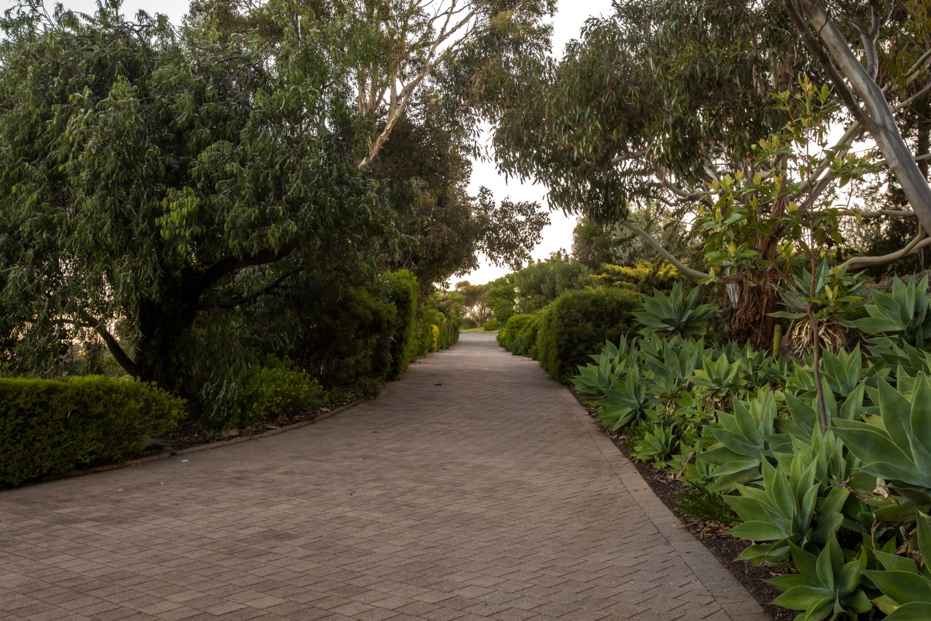 44 Upper Flaxman Street, Port Lincoln Sold by Giordano & Partners - image 21