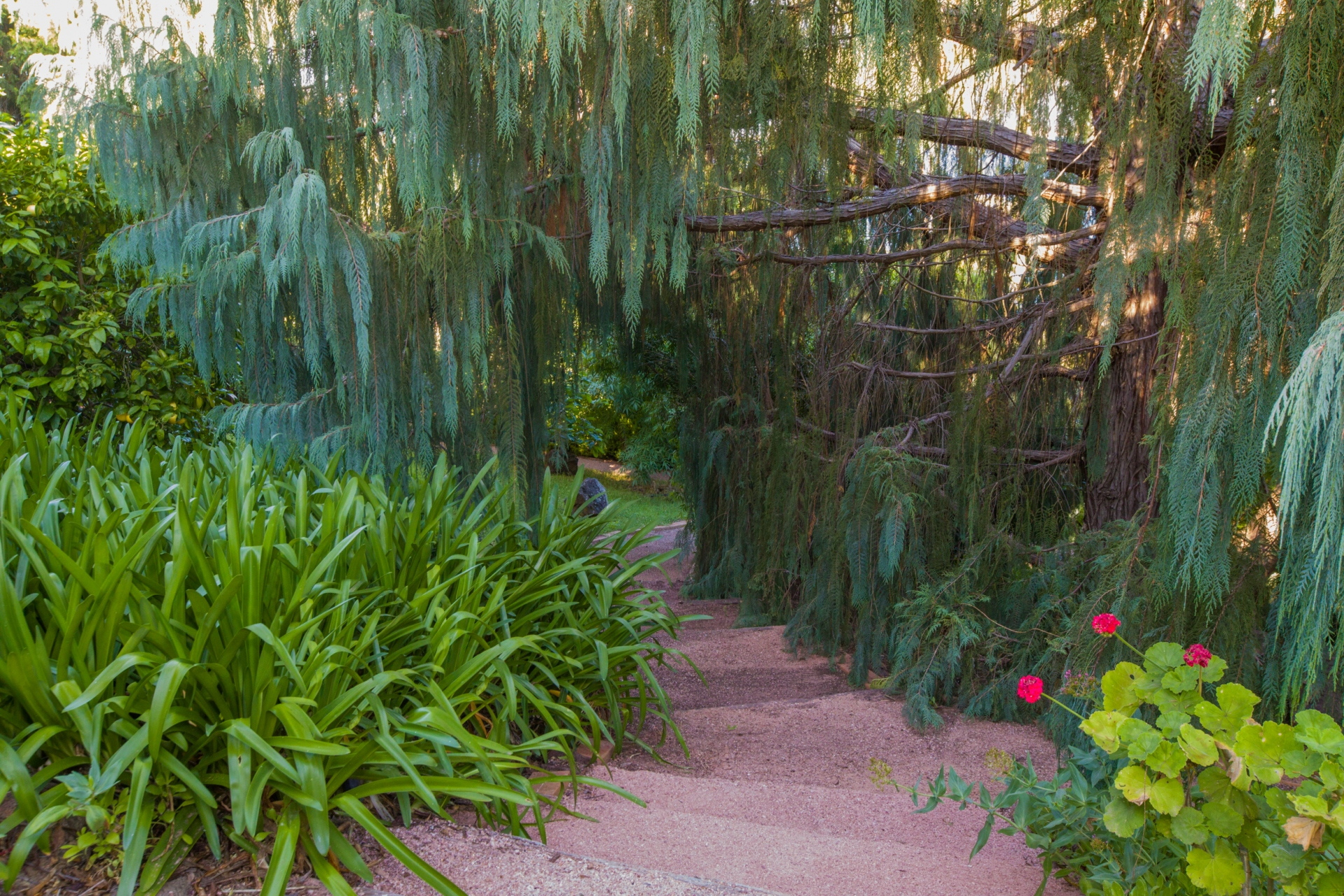 44 Upper Flaxman Street, Port Lincoln Sold by Giordano & Partners - image 15