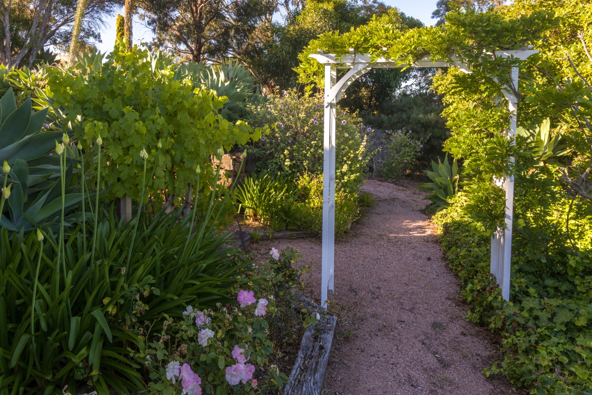 44 Upper Flaxman Street, Port Lincoln Sold by Giordano & Partners - image 20