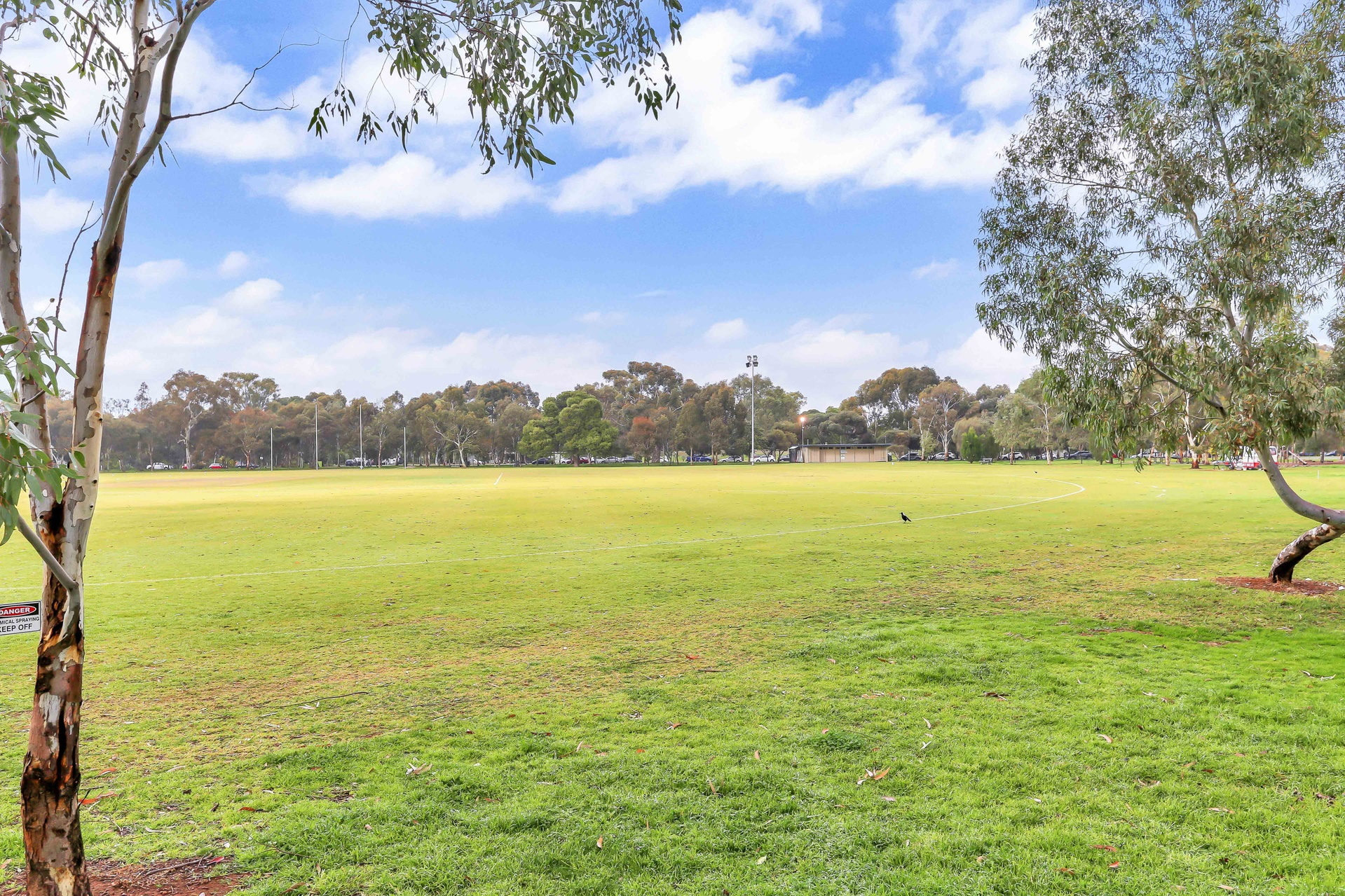 12 MacKinnon Parade, North Adelaide Leased by Giordano & Partners - image 11