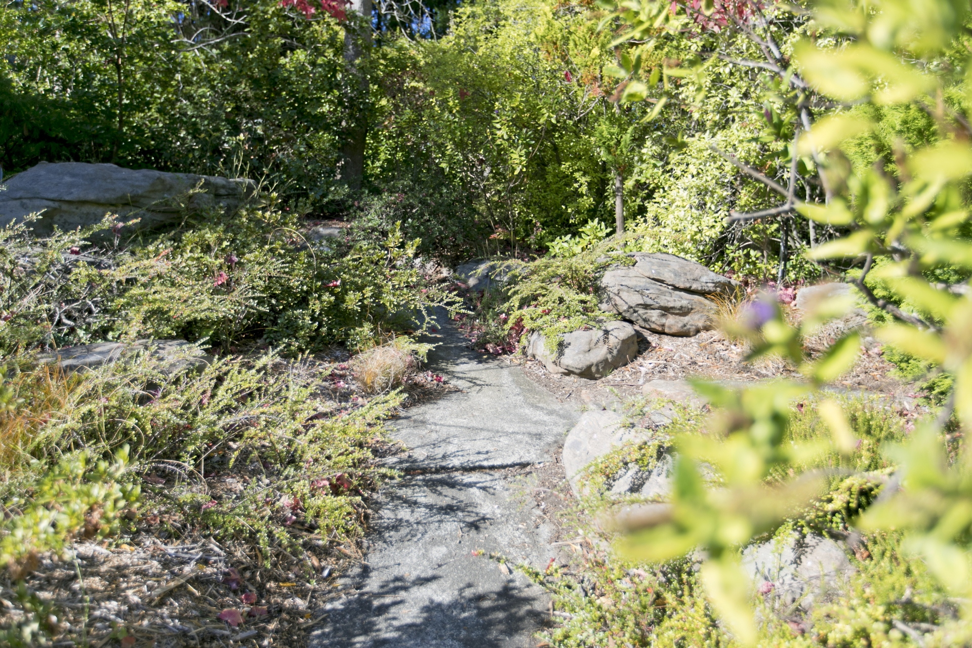 6 Glenside Lane, Crafers Sold by Giordano & Partners - image 13