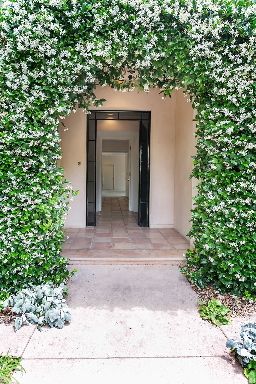 6 Willyama Avenue, Medindie Leased by Giordano & Partners - image 21