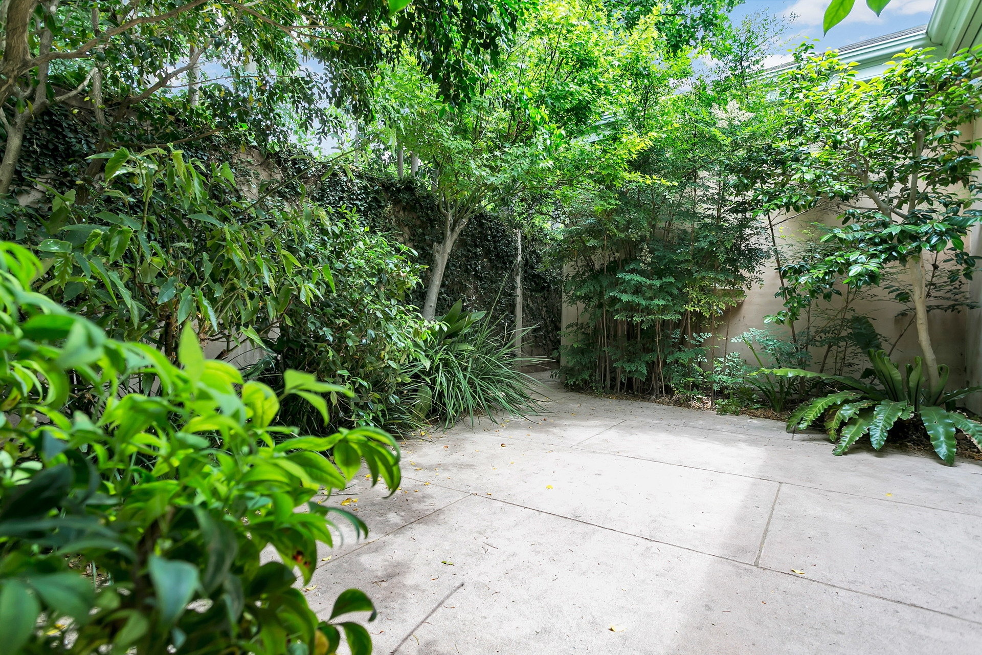 6 Willyama Avenue, Medindie Leased by Giordano & Partners - image 18