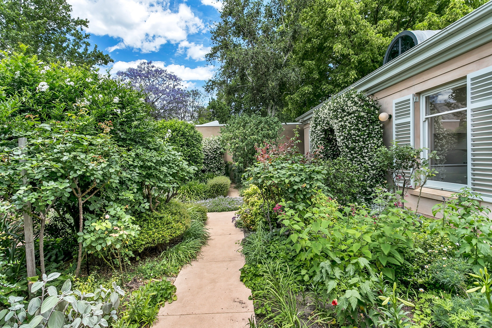 6 Willyama Avenue, Medindie Leased by Giordano & Partners - image 2