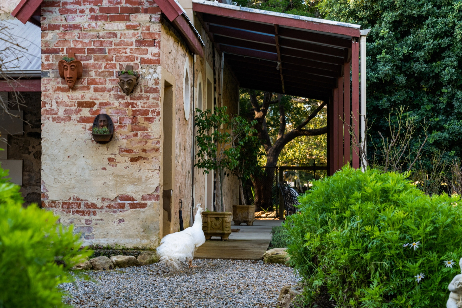 34 Main Street, Yankalilla Sold by Giordano & Partners - image 27