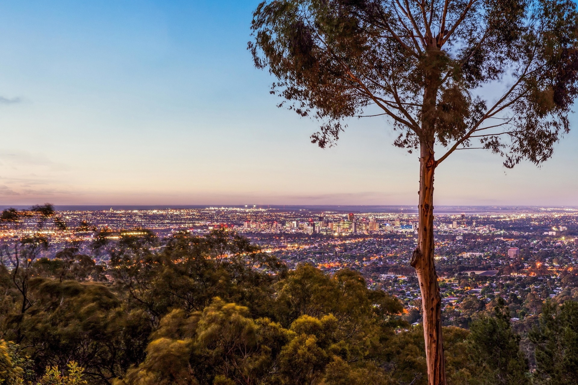 1 Serpentine Road, Belair Sold by Giordano & Partners - image 14