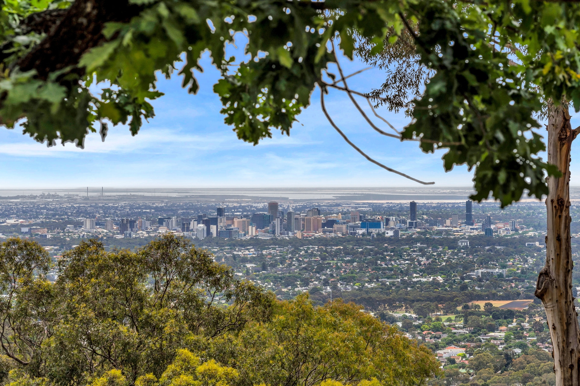 1 Serpentine Road, Belair Sold by Giordano & Partners - image 4