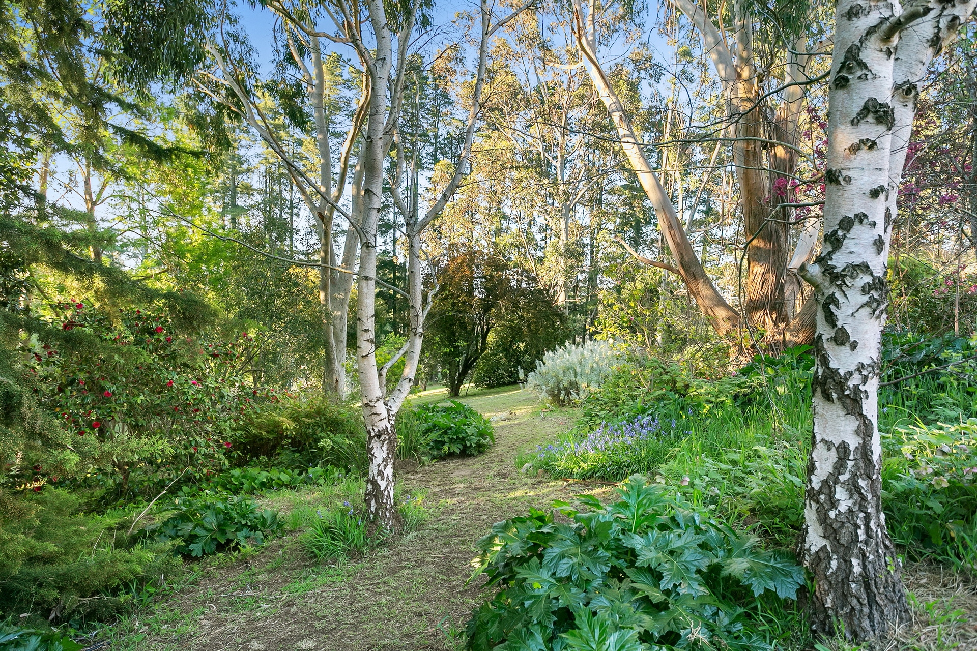 14 Williams Road, Heathfield Sold by Giordano & Partners - image 29