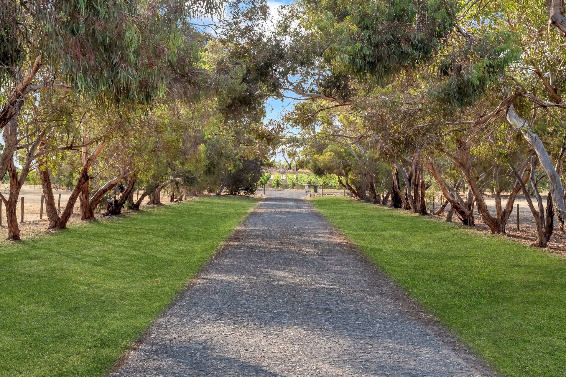 191 Samuel Road, Nuriootpa Sold by Giordano & Partners - image 29