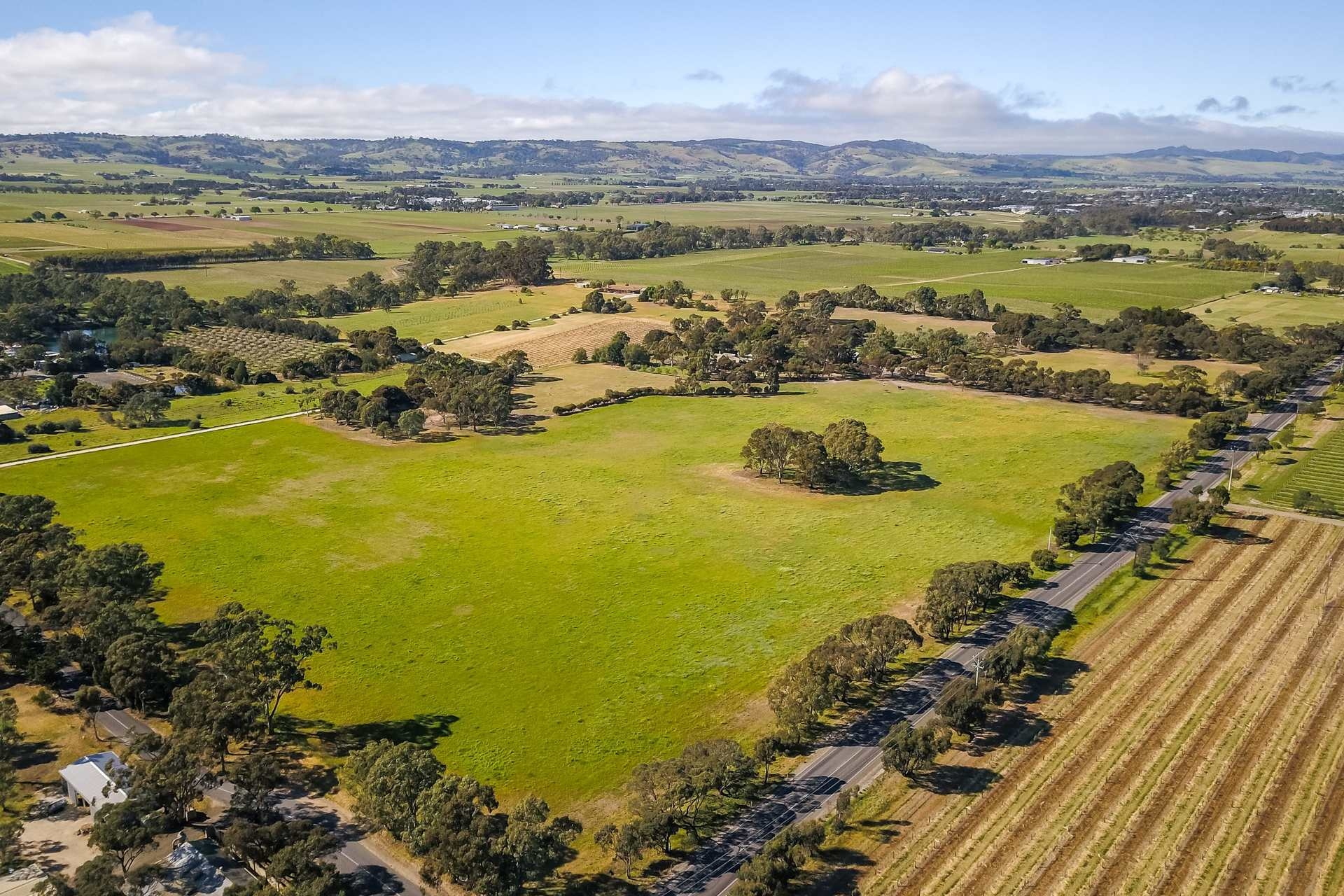 191 Samuel Road, Nuriootpa Sold by Giordano & Partners - image 28