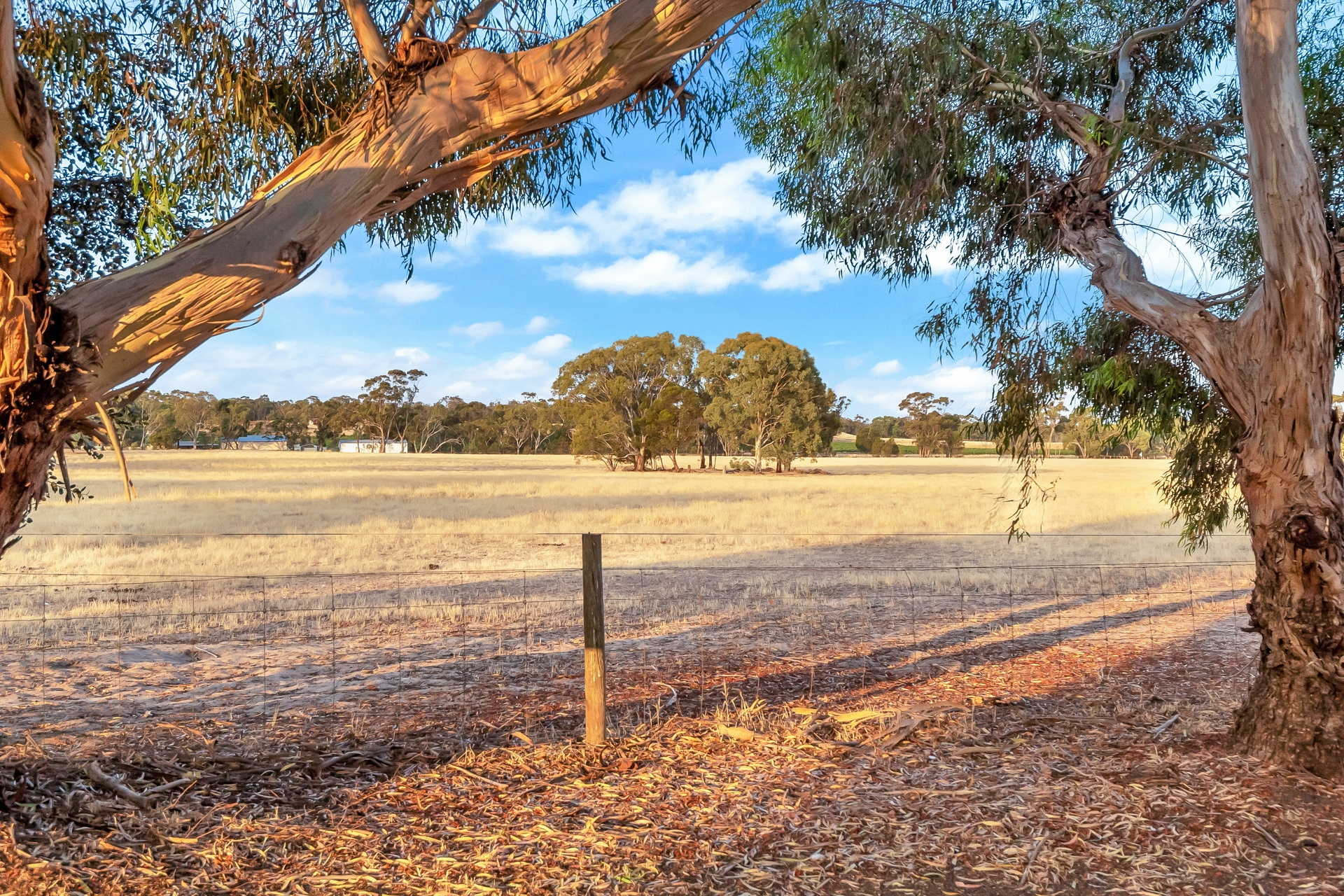191 Samuel Road, Nuriootpa Sold by Giordano & Partners - image 30