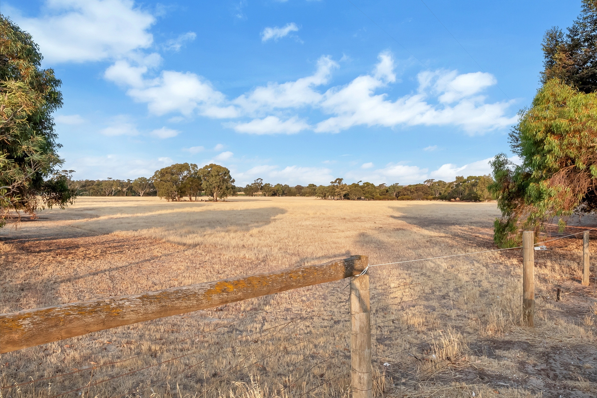 191 Samuel Road, Nuriootpa Sold by Giordano & Partners - image 32