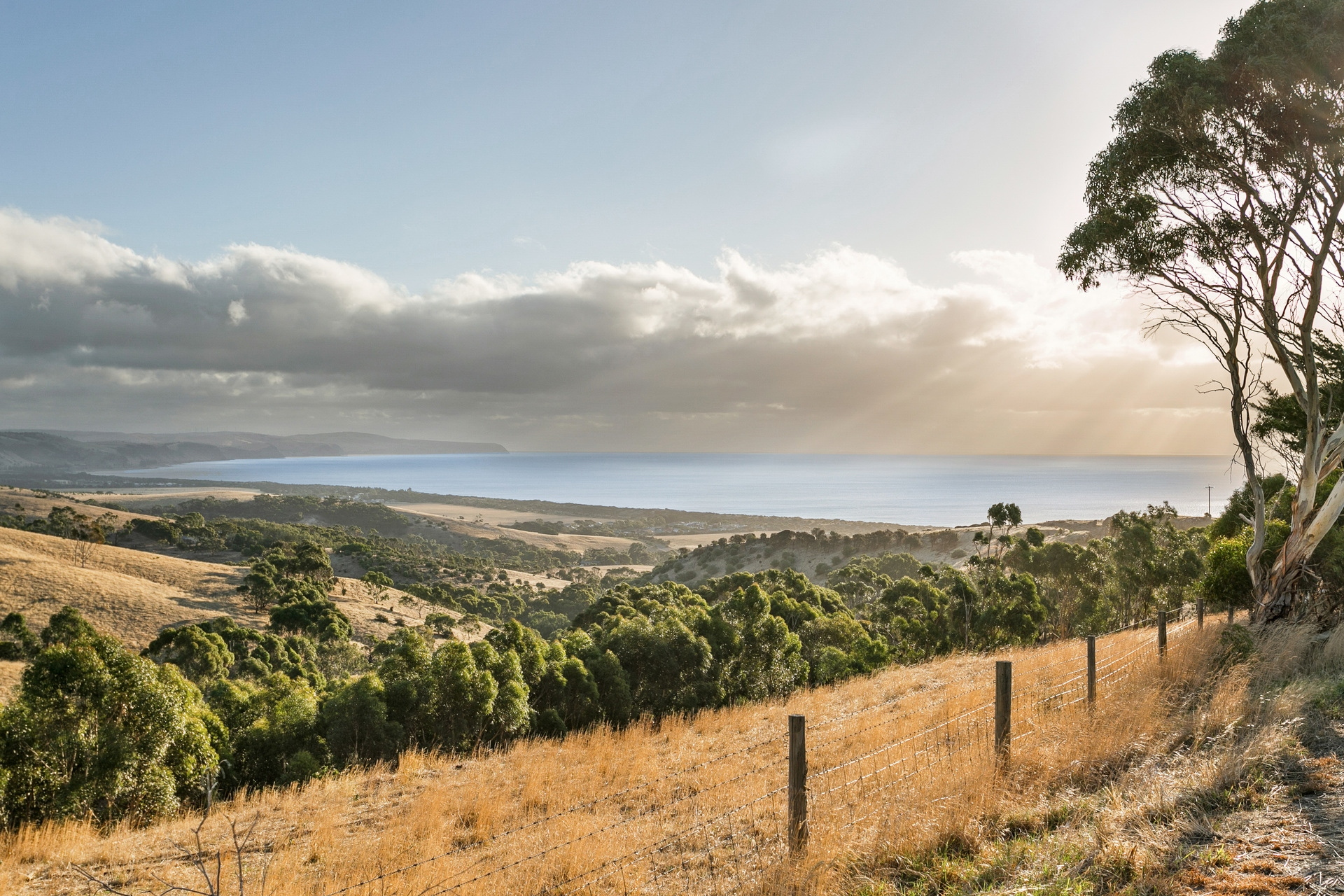 48 Elizabeth Crescent, Carrickalinga Sold by Giordano & Partners - image 22