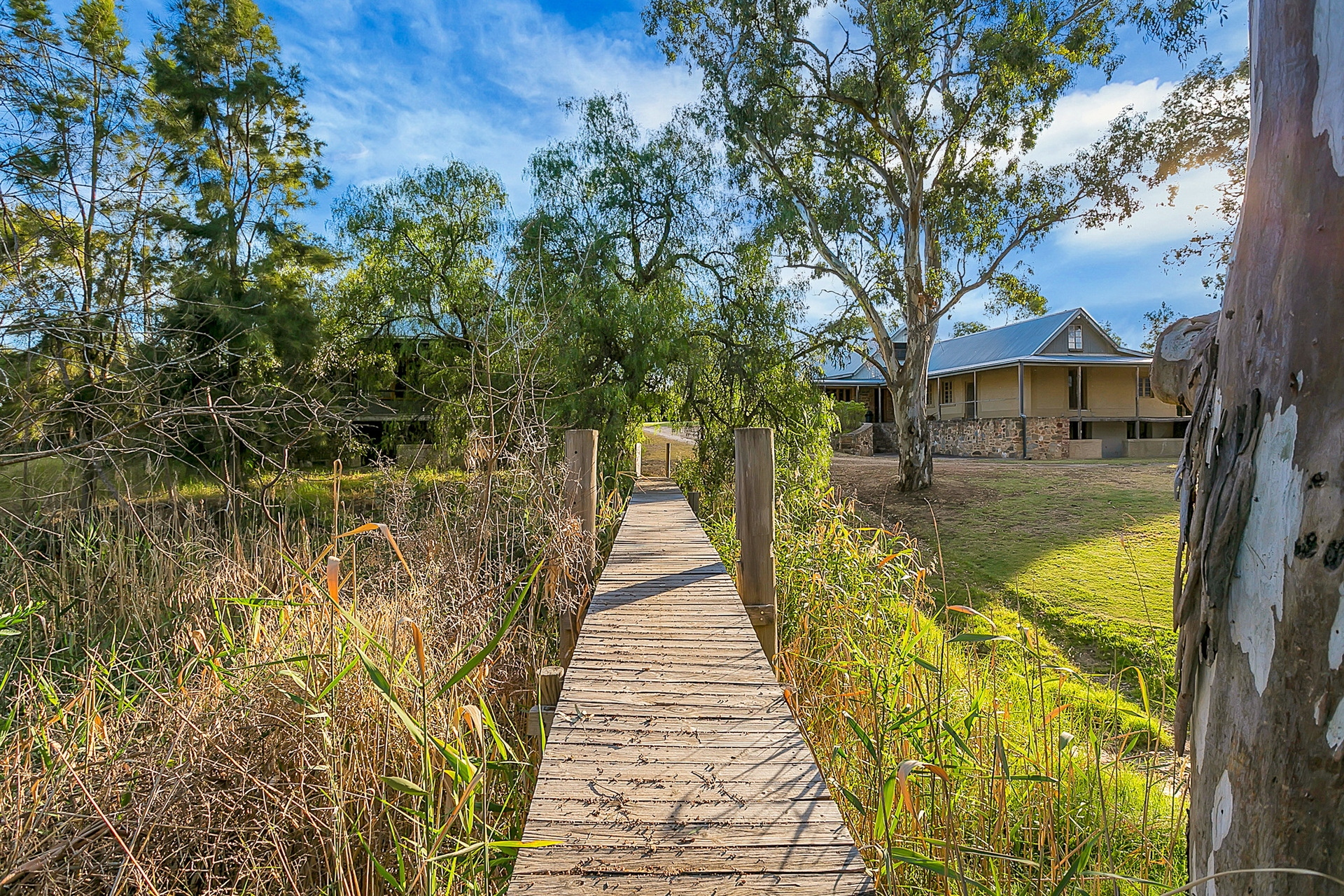 93 Bethany Road, Tanunda Sold by Giordano & Partners - image 30