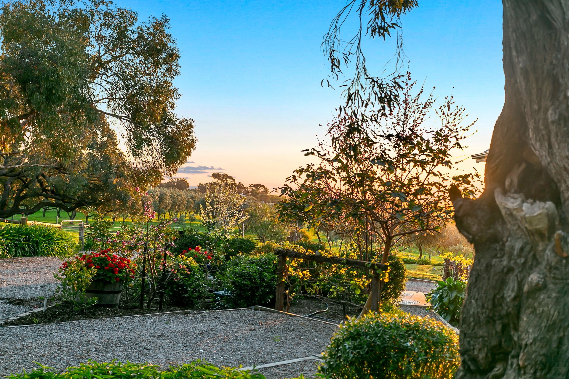 11 Martin Road, Willunga South Sold by Giordano & Partners - image 5