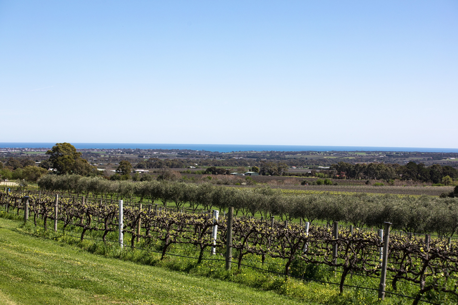 11 Martin Road, Willunga South Sold by Giordano & Partners - image 2