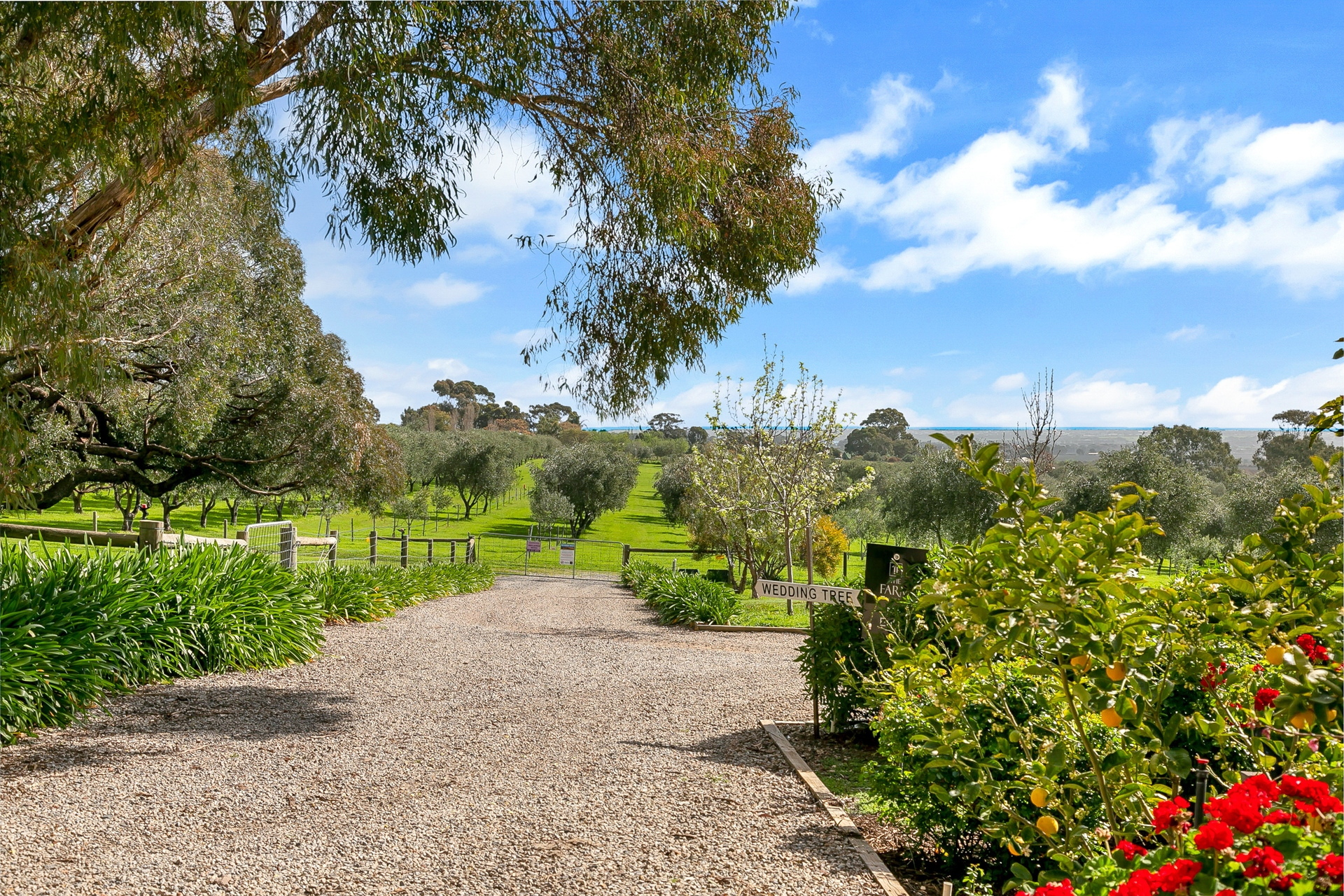 11 Martin Road, Willunga South Sold by Giordano & Partners - image 27