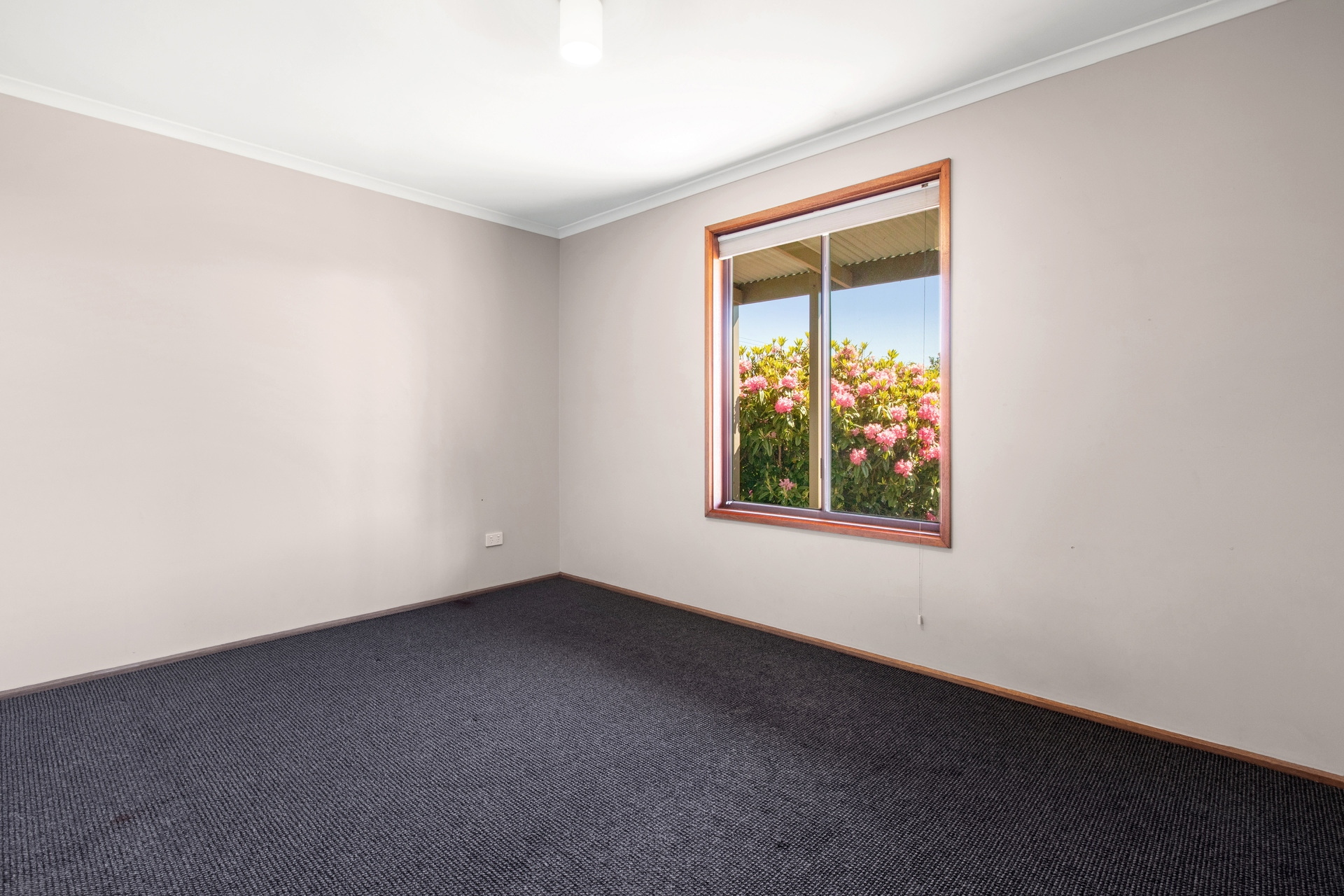 8-10 Owens Street, Crafers Leased by Giordano & Partners - image 9