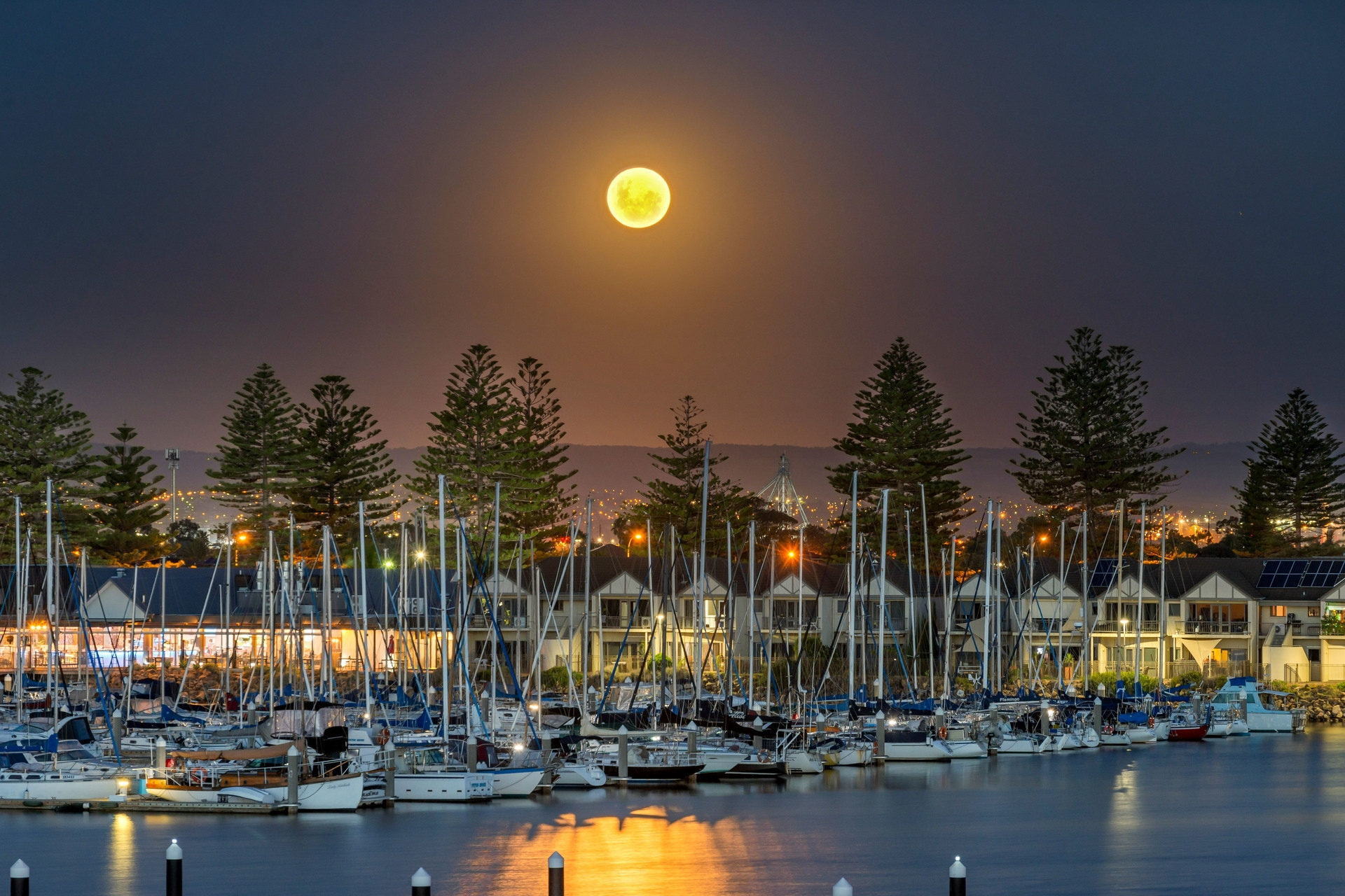 30 Gulf Point Drive, North Haven Sold by Giordano & Partners - image 29