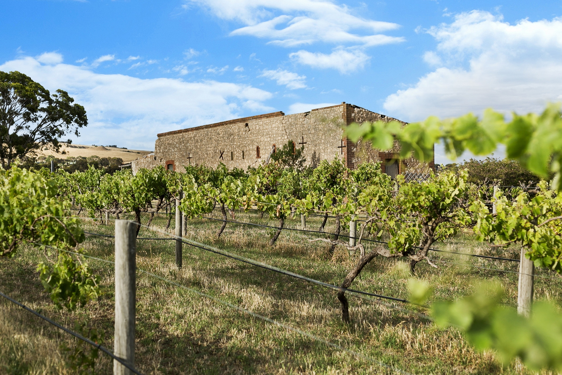 14-30 Waterport Road, Port Elliot Sold by Giordano & Partners - image 31