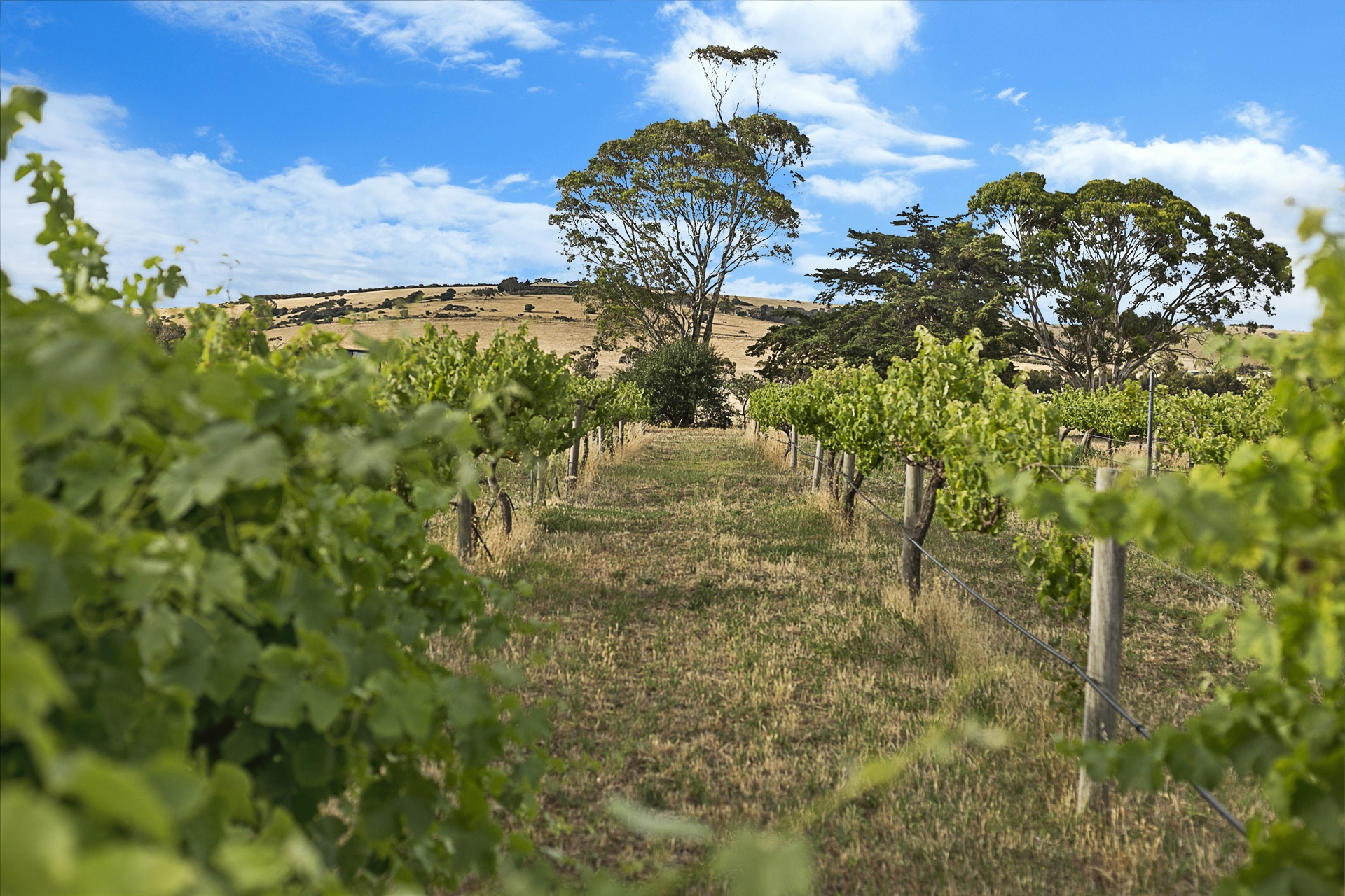 14-30 Waterport Road, Port Elliot Sold by Giordano & Partners - image 32