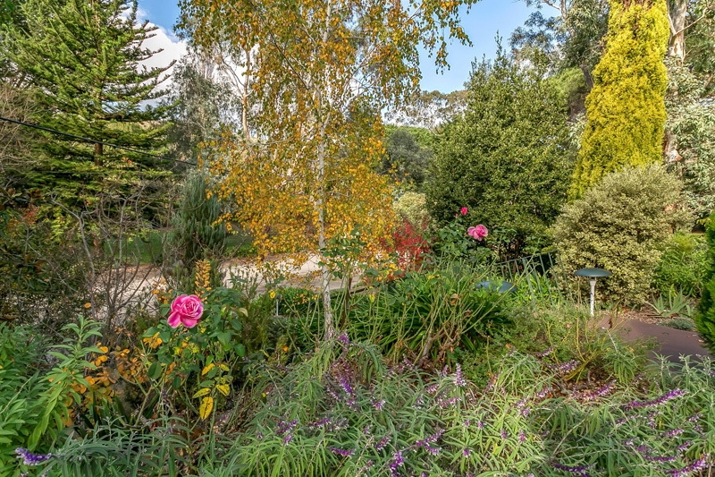 446/446A Main Road, Coromandel Valley Sold by Giordano & Partners - image 13