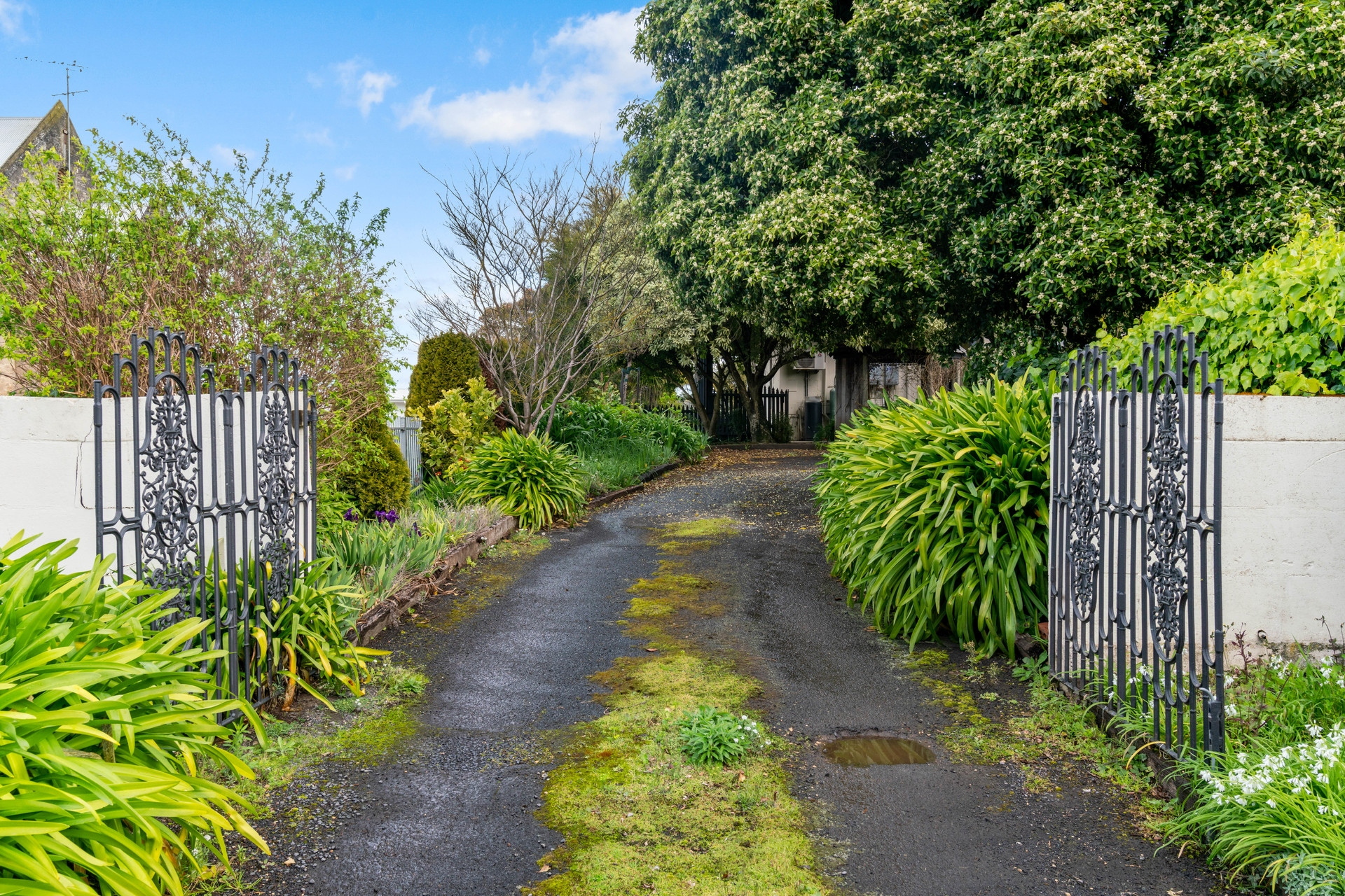 3 Colhurst Place, Mount Gambier Sold by Giordano & Partners - image 27