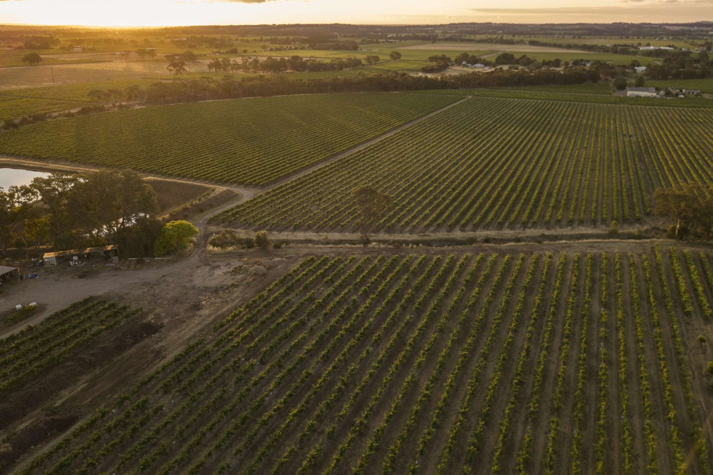 860 Stockwell Road, Angaston Sold by Giordano & Partners