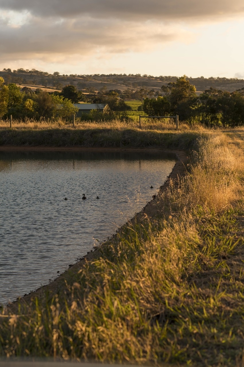 860 Stockwell Road, Angaston Sold by Giordano & Partners - image 7
