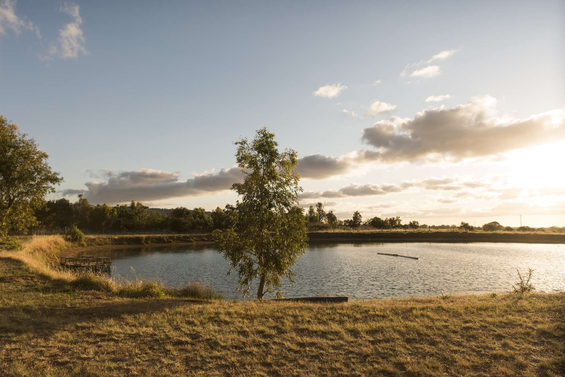 860 Stockwell Road, Angaston Sold by Giordano & Partners - image 5