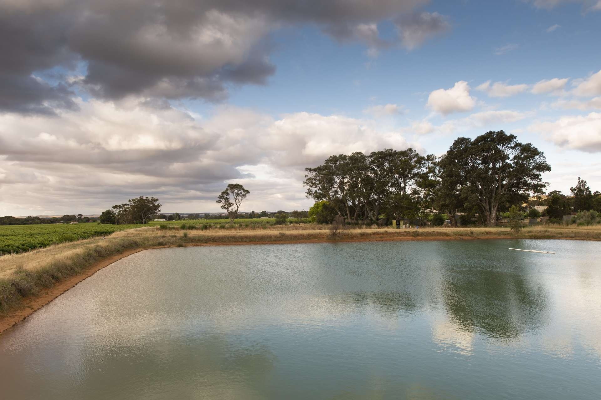 860 Stockwell Road, Angaston Sold by Giordano & Partners - image 4