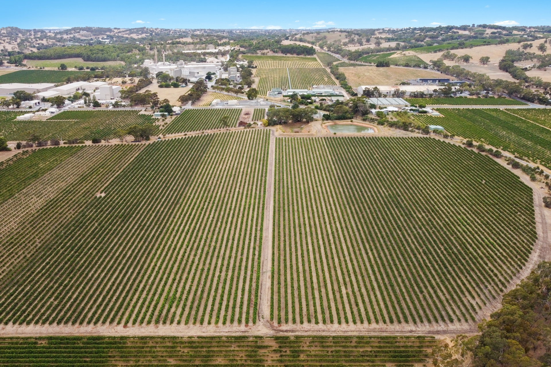 860 Stockwell Road, Angaston Sold by Giordano & Partners - image 15