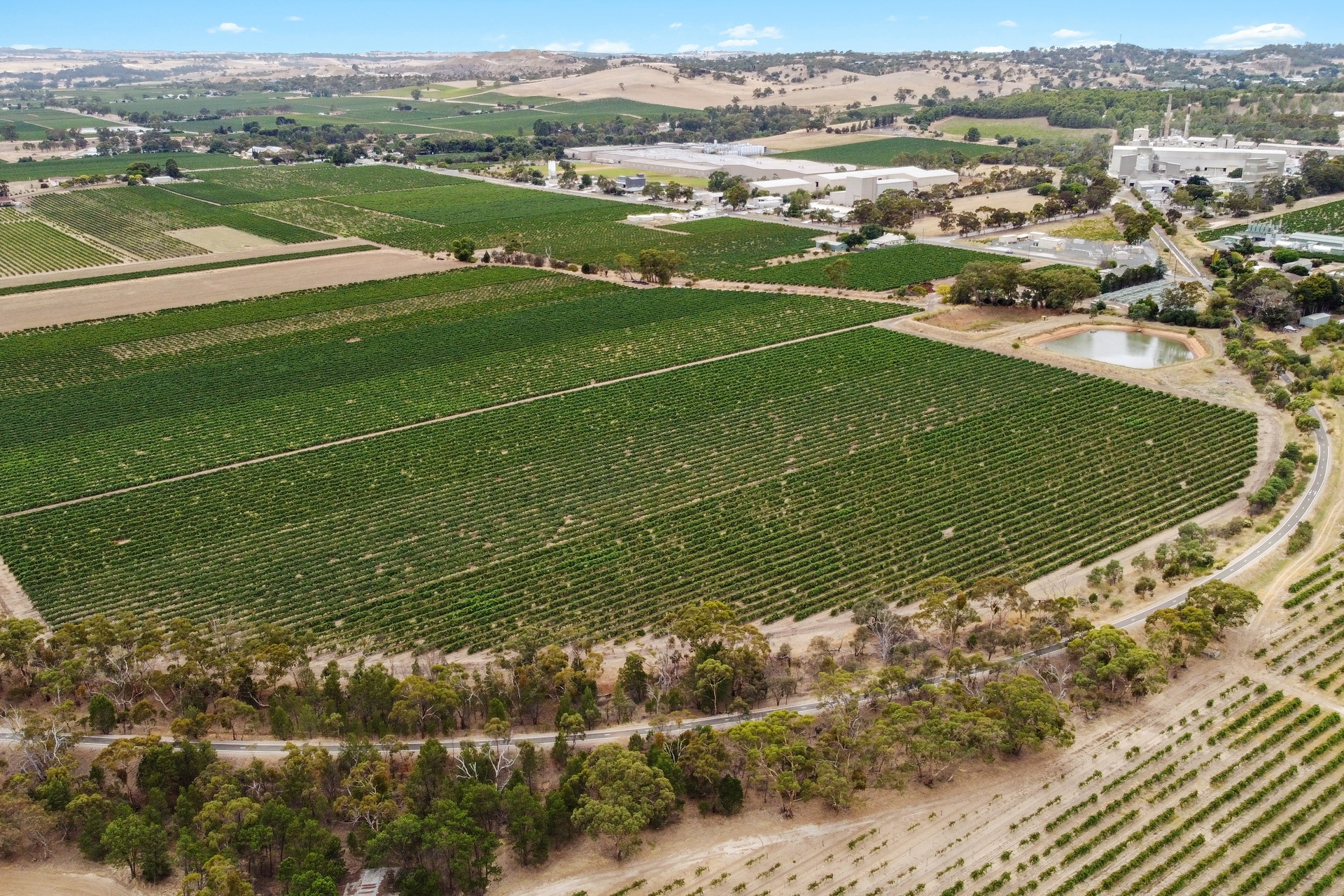 860 Stockwell Road, Angaston Sold by Giordano & Partners - image 11