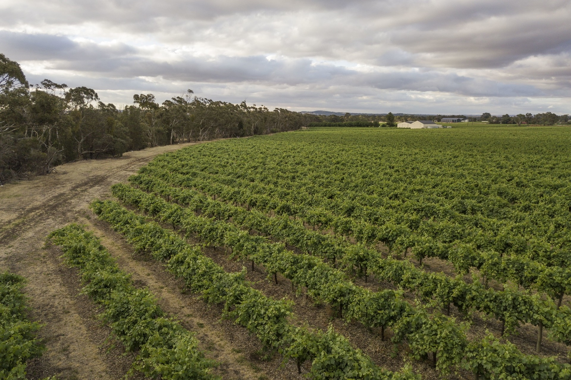 860 Stockwell Road, Angaston Sold by Giordano & Partners - image 8