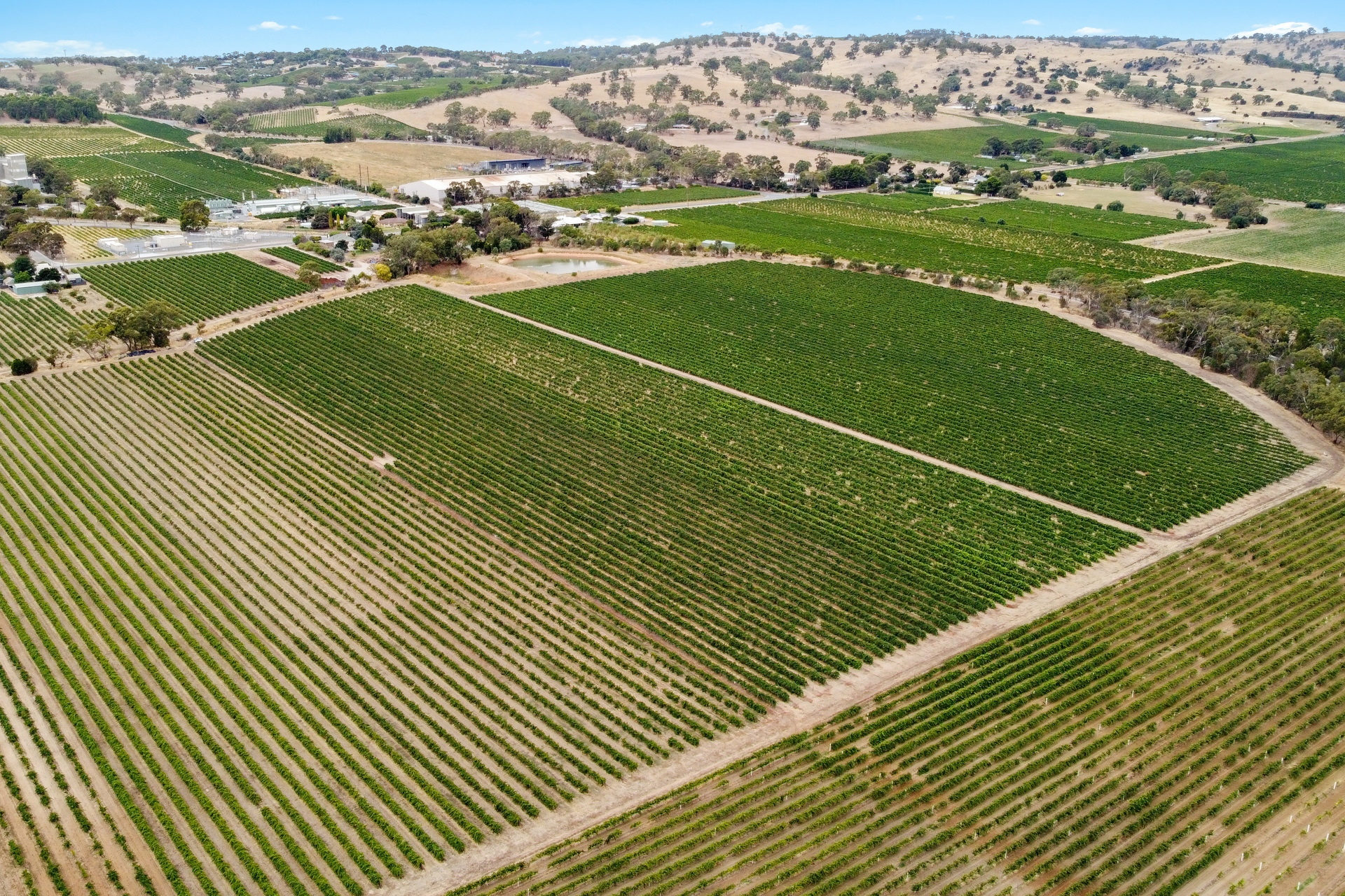 860 Stockwell Road, Angaston Sold by Giordano & Partners - image 12