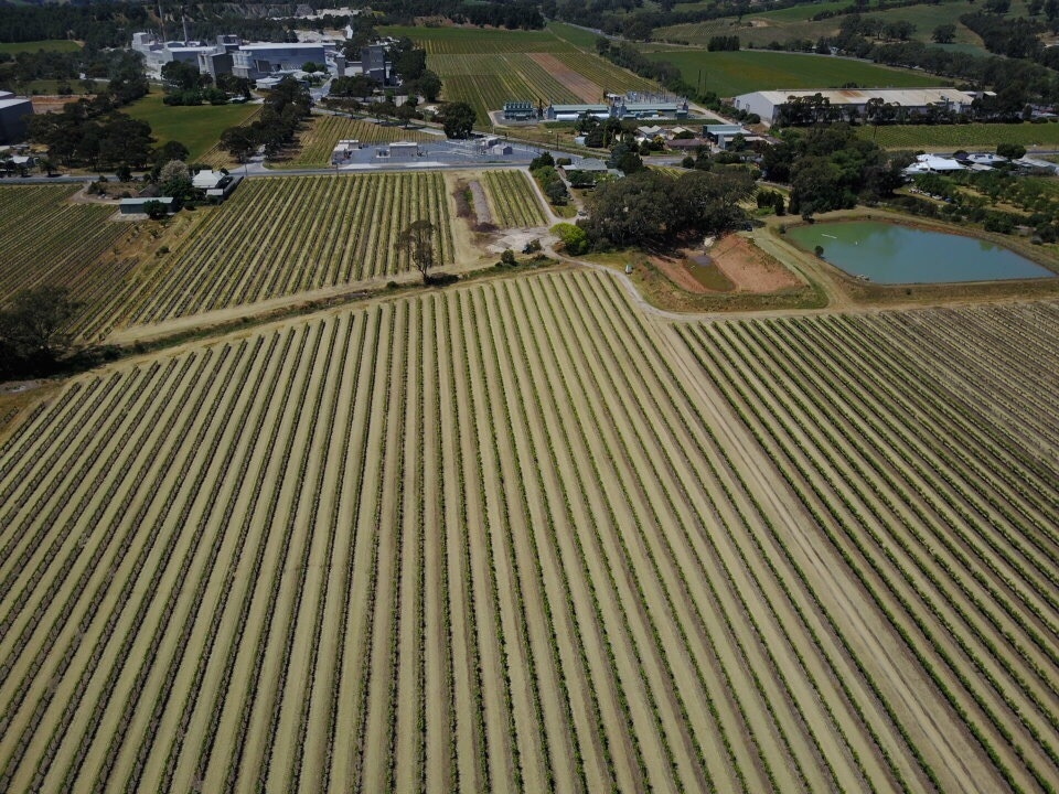 860 Stockwell Road, Angaston Sold by Giordano & Partners - image 9