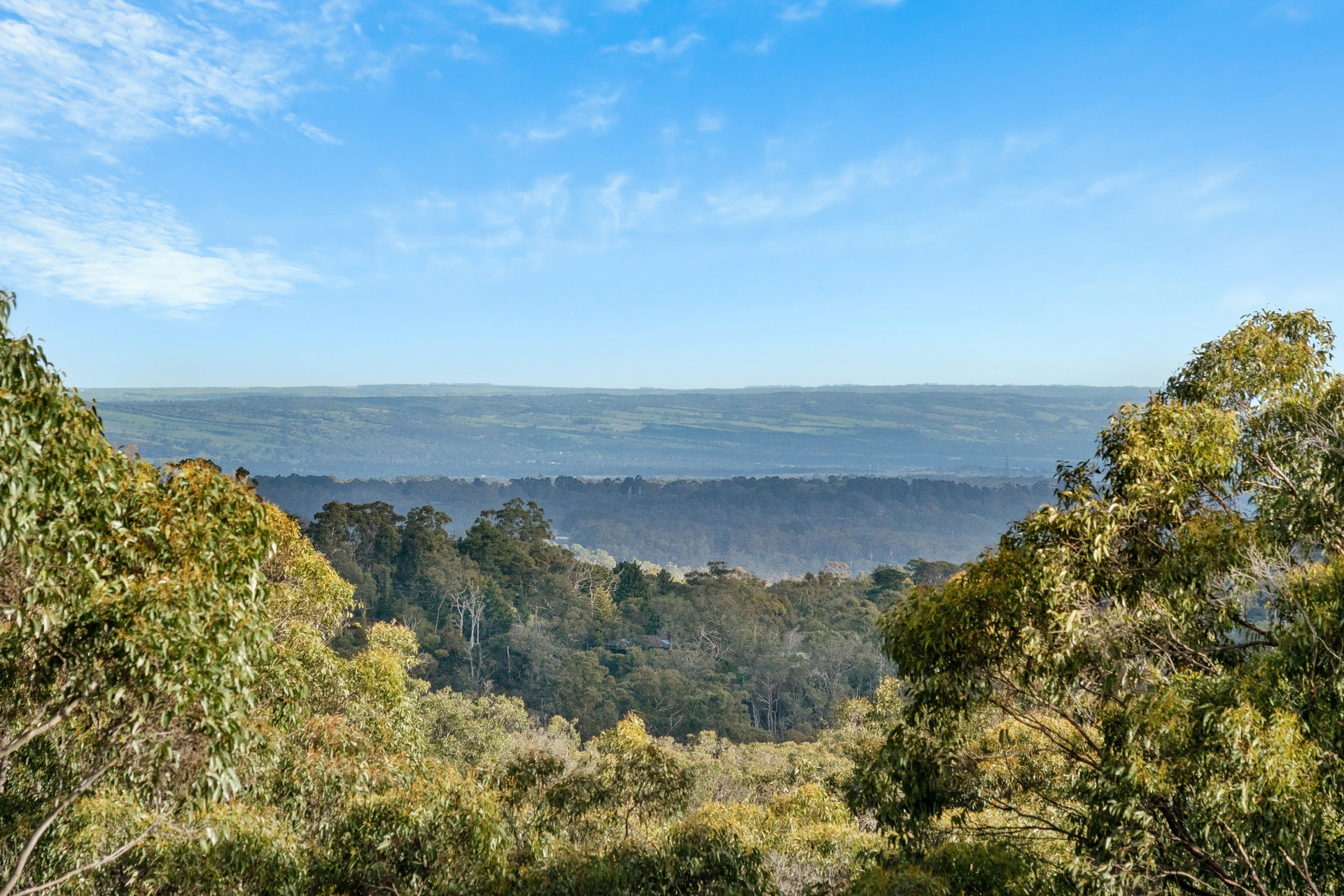 8 Heather Road, Crafers West Sold by Giordano & Partners - image 27