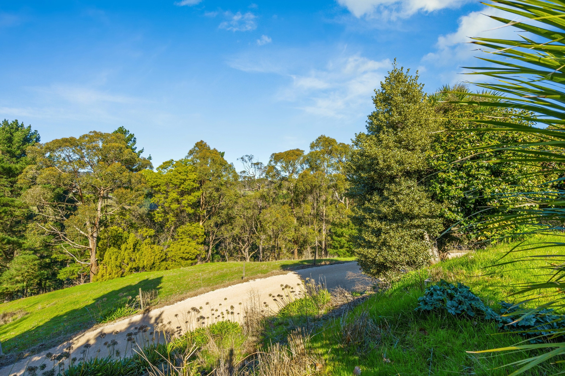 207 Raymonds Road, Basket Range Leased by Giordano & Partners - image 16