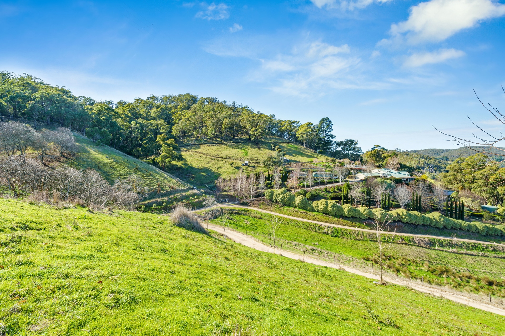 207 Raymonds Road, Basket Range Leased by Giordano & Partners - image 15