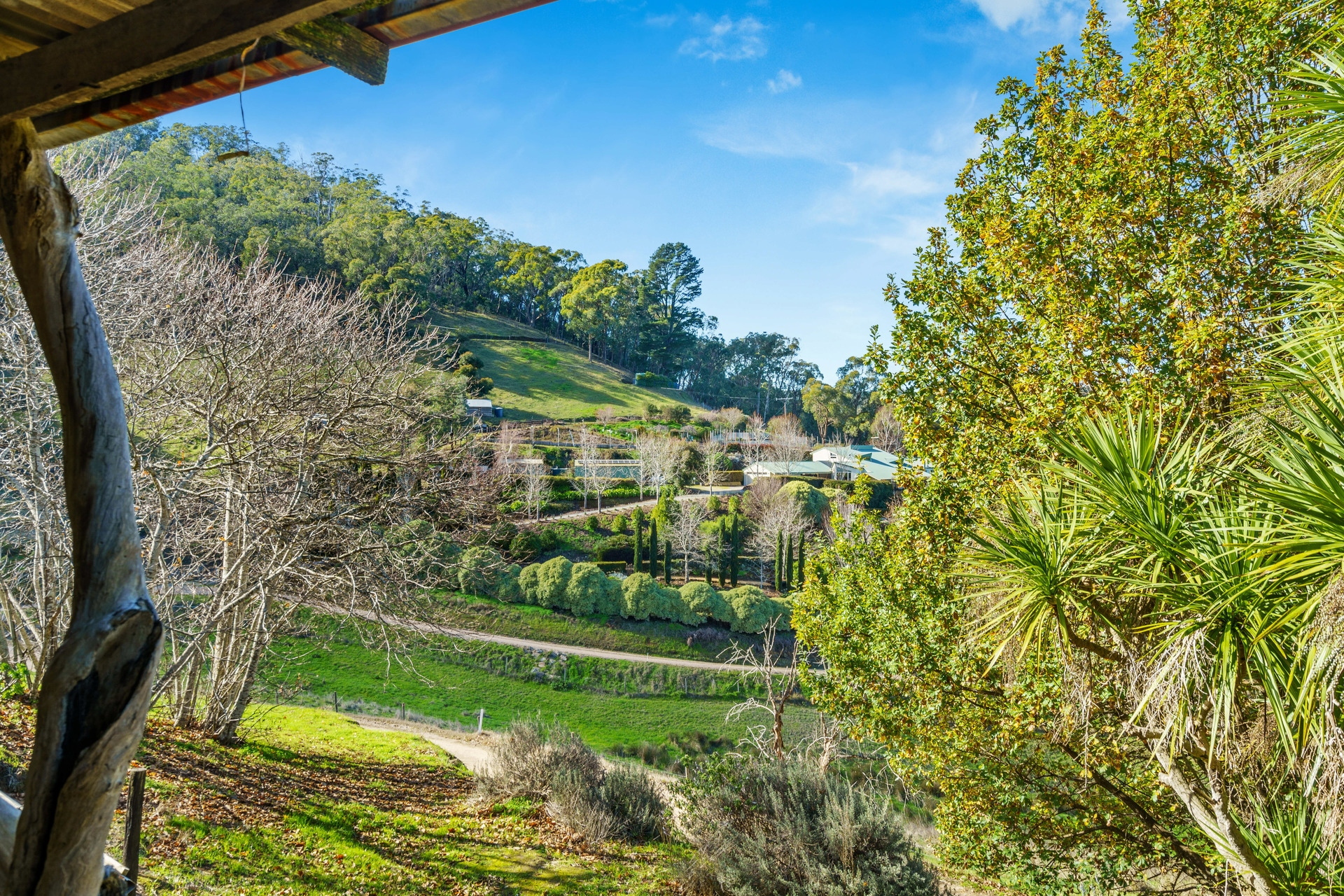 207 Raymonds Road, Basket Range Leased by Giordano & Partners - image 17