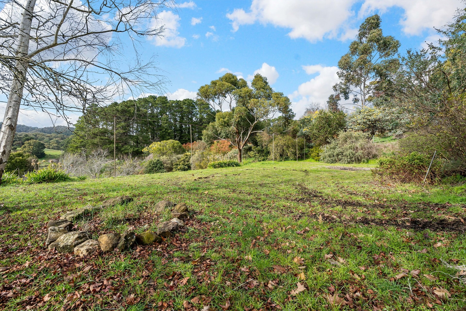 100 Burdetts Road, Basket Range Leased by Giordano & Partners - image 10