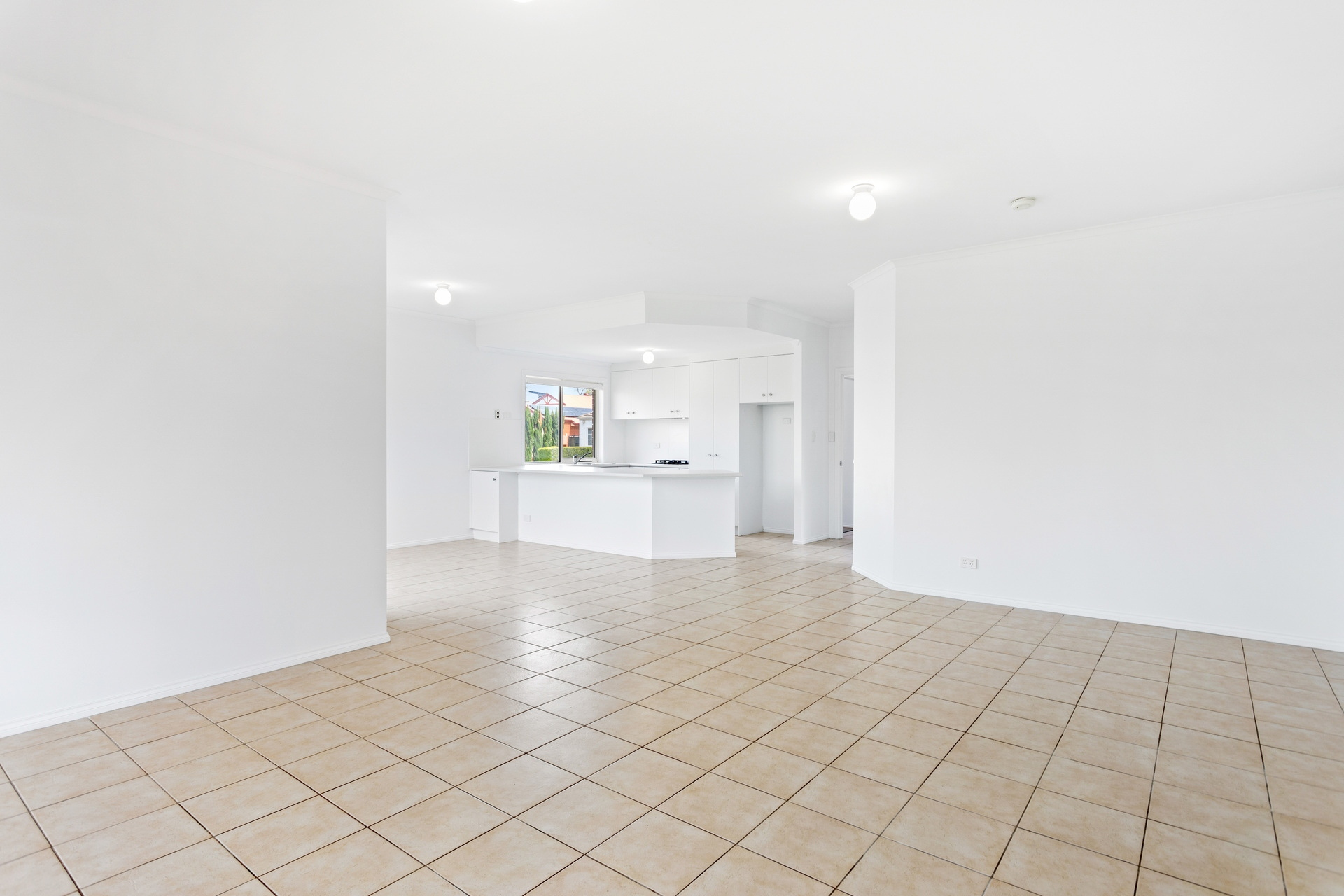 8A Redman Court, Woodville Leased by Giordano & Partners - image 2