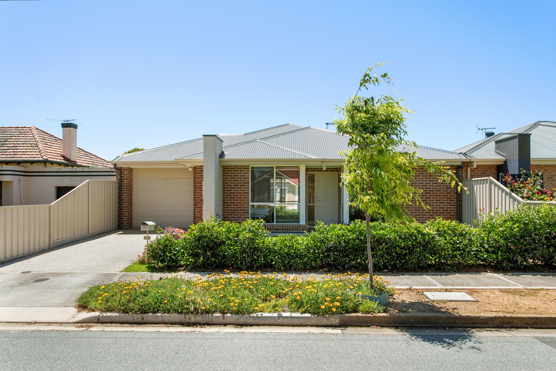 1C View Road, Glandore Leased by Giordano & Partners - image 1