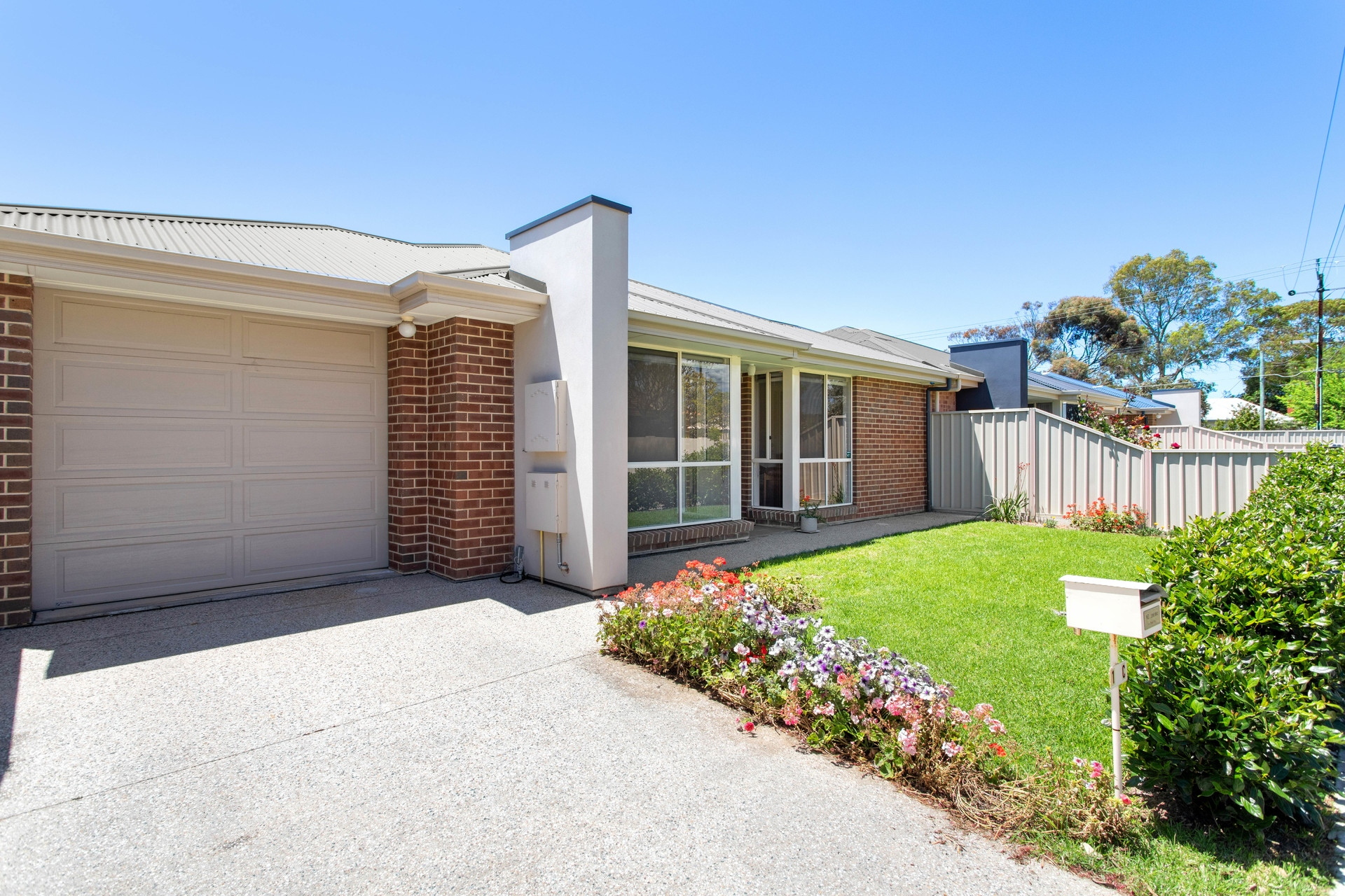 1C View Road, Glandore Leased by Giordano & Partners - image 15