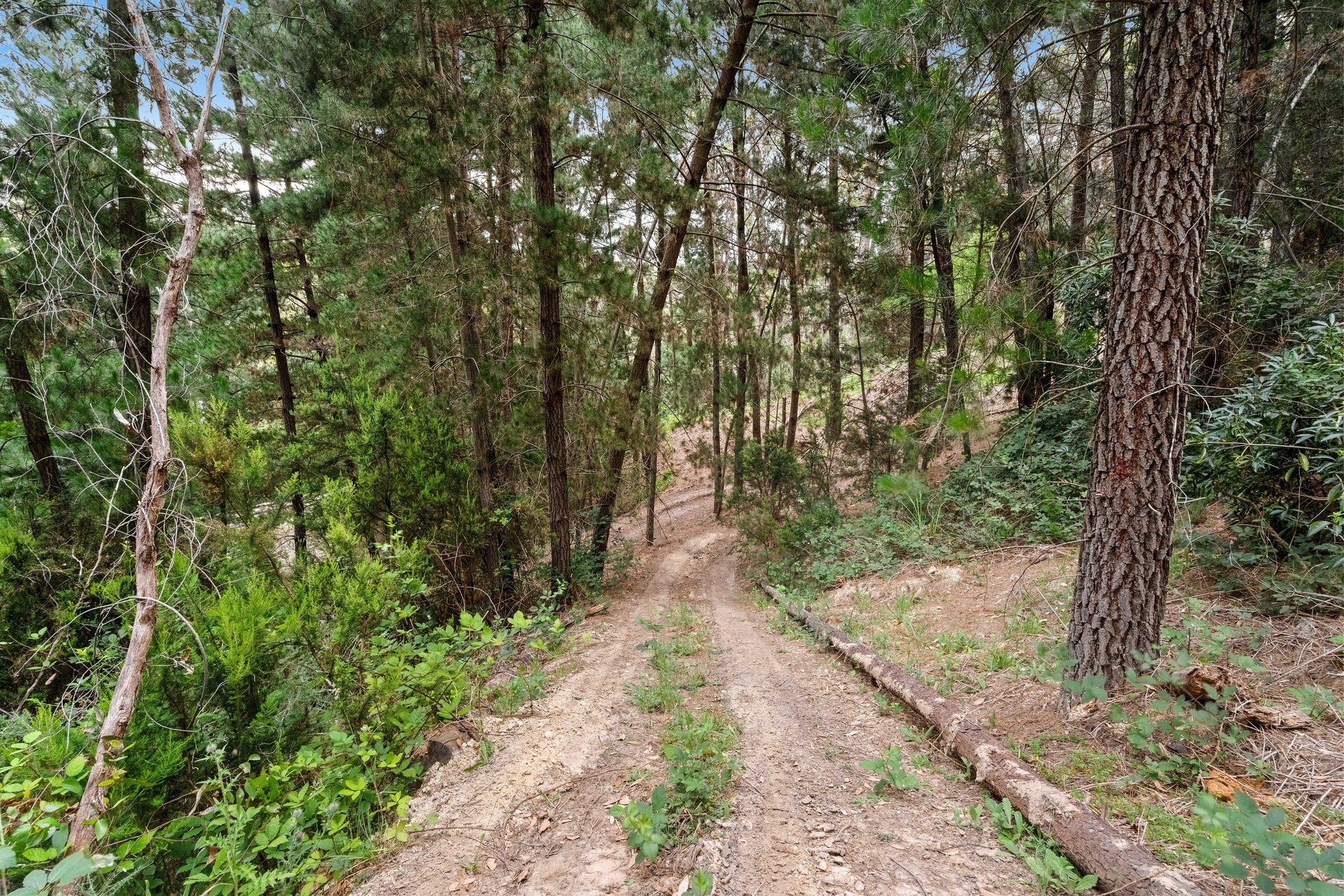 35 Upper Sturt Road, Crafers West Sold by Giordano & Partners - image 25