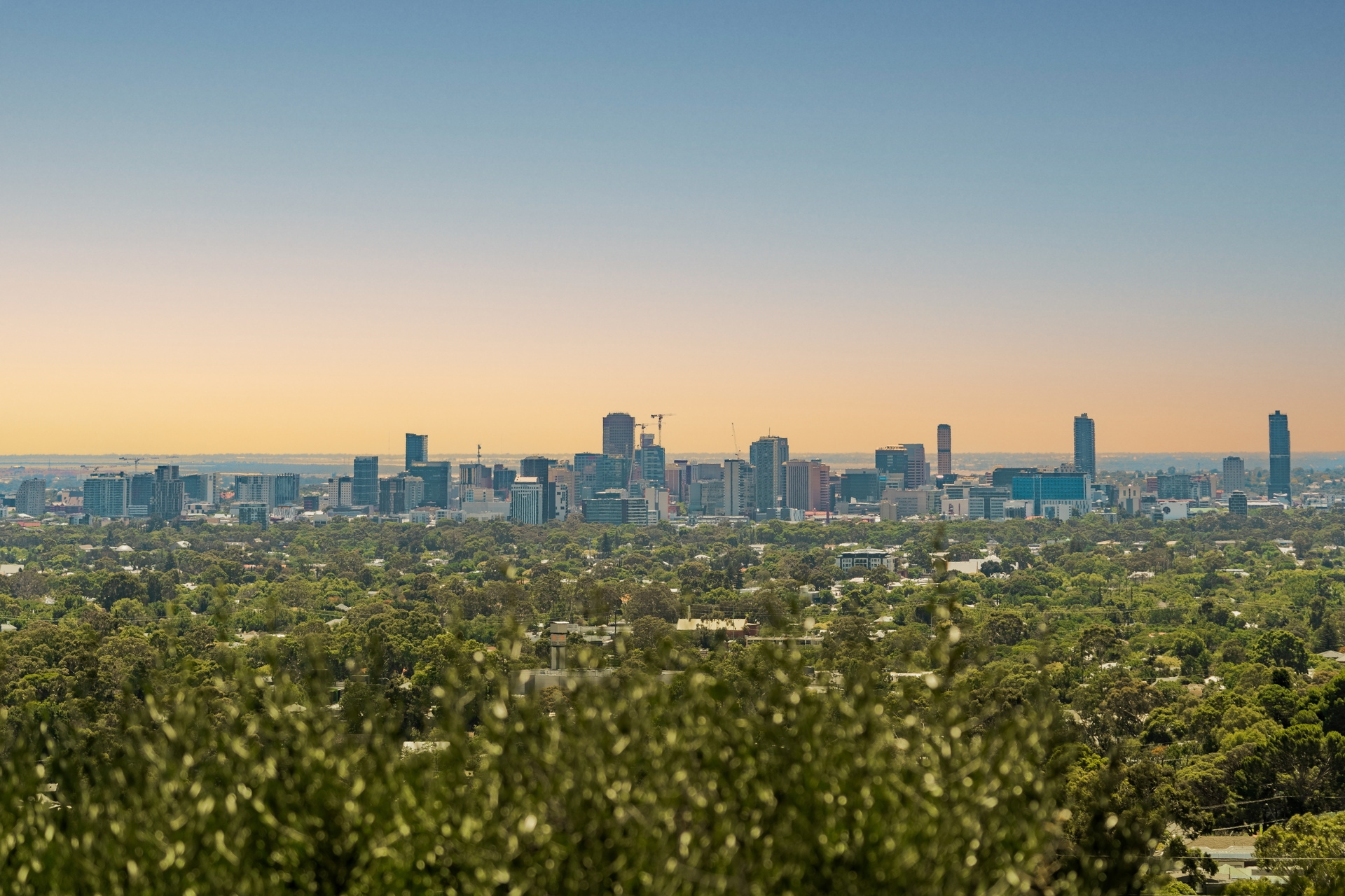 9 Parkers Road, Torrens Park Sold by Giordano & Partners - image 34