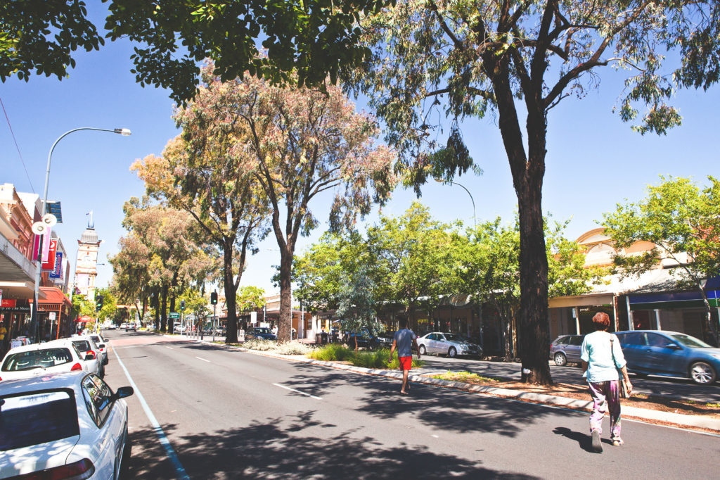 51 Queen Street, Norwood Sold by Giordano & Partners - image 8