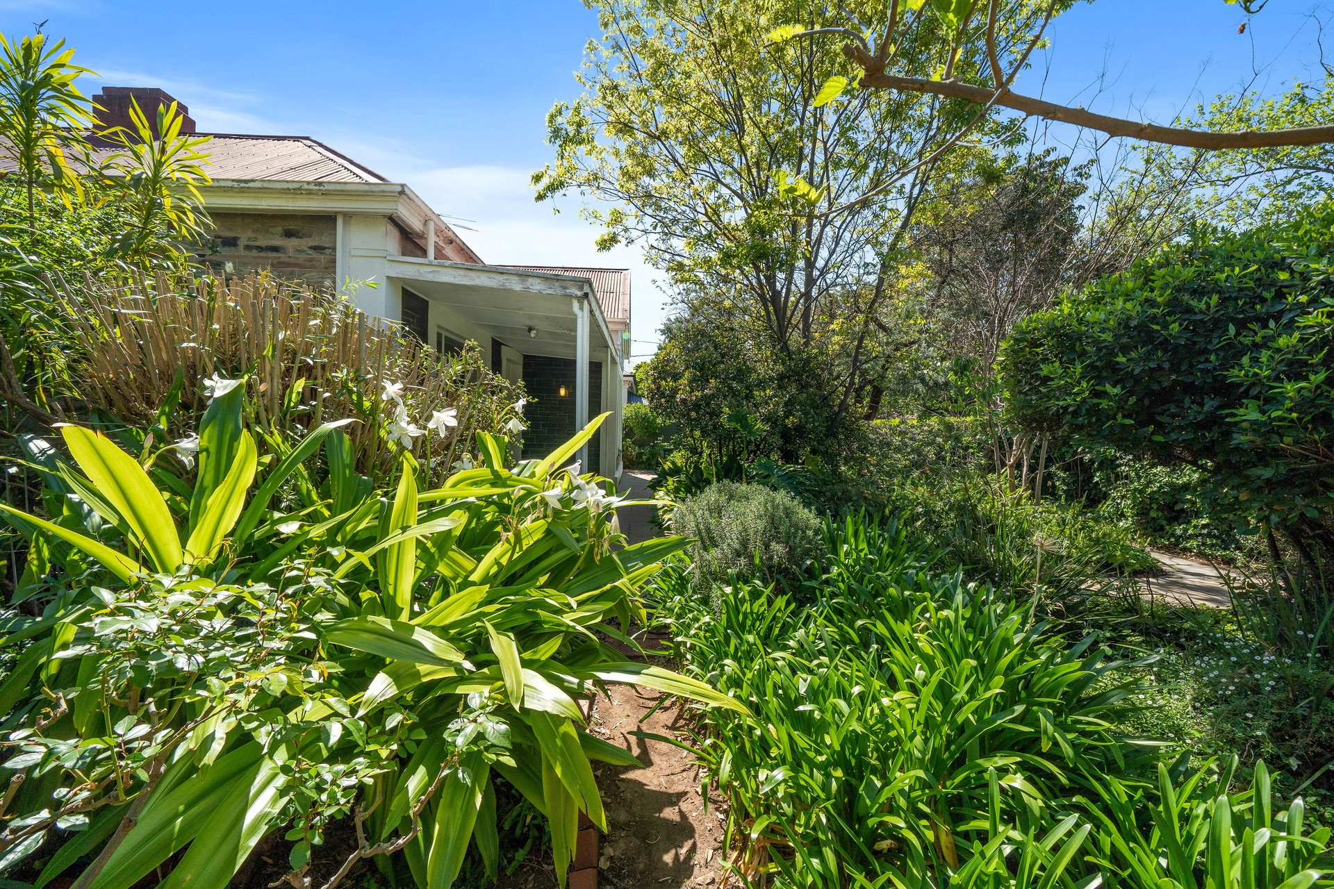 51 Queen Street, Norwood Sold by Giordano & Partners - image 3