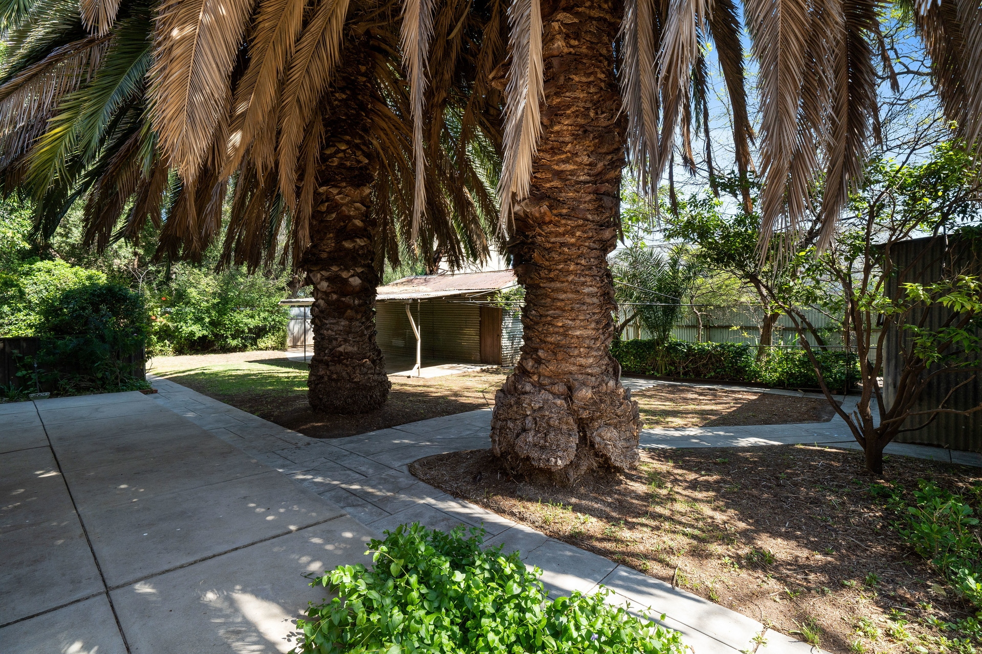 51 Queen Street, Norwood Sold by Giordano & Partners - image 5