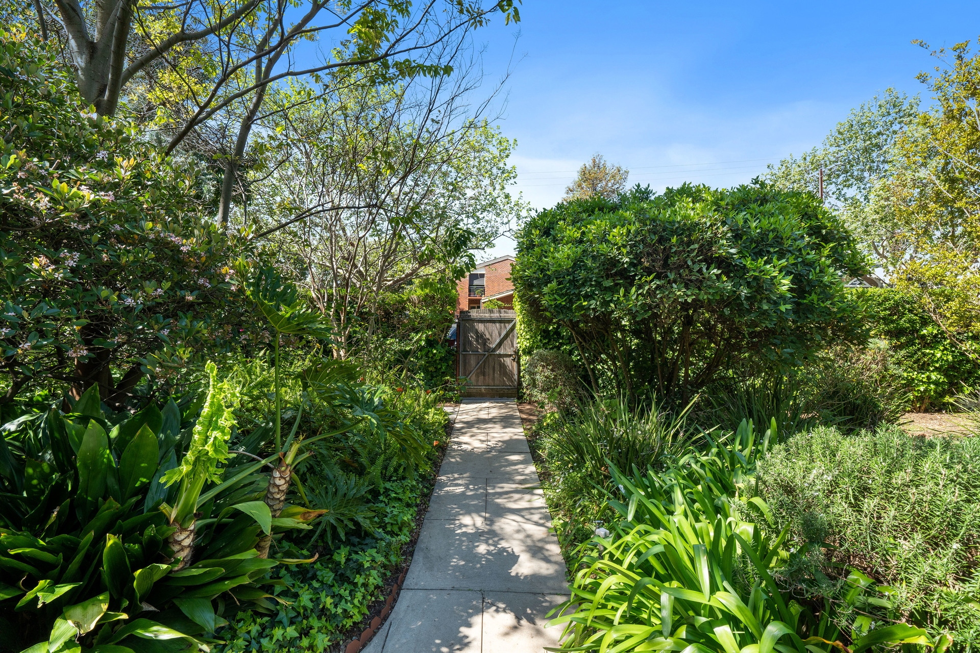 51 Queen Street, Norwood Sold by Giordano & Partners - image 4